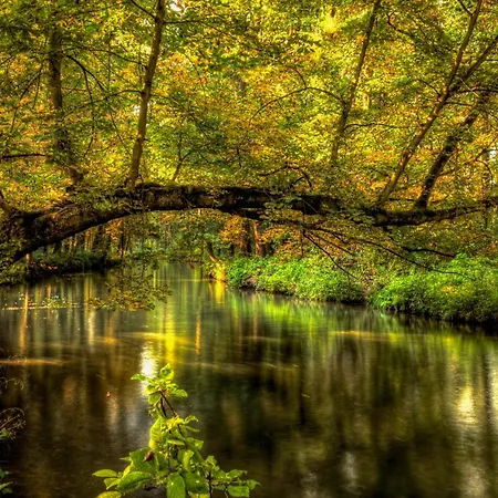 Апартаменты Altstadtmitte