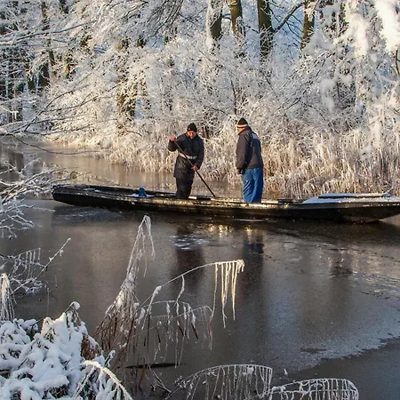 Апартаменты Altstadtmitte