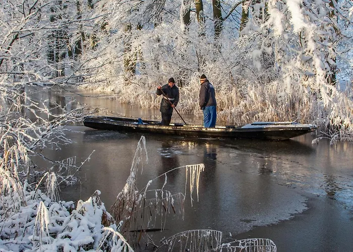 Lägenhet Altstadtmitte