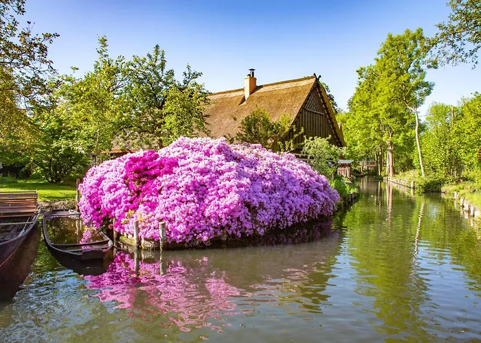 Lägenhet Altstadtmitte *