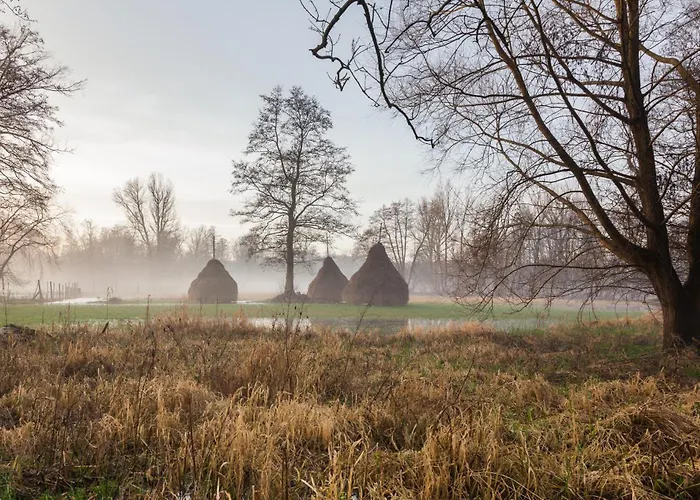 Altstadtmitte Lägenhet *