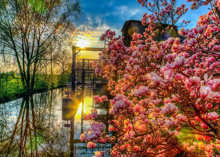 Lägenhet Altstadtmitte